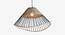 Kyoto Dome Hanging Lamp (Black Finish) by Urban Ladder - Front View Design 1 - 338888