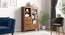 Carnegie Cabinet (Amber Walnut Finish) by Urban Ladder - Full View Design 1 - 339358