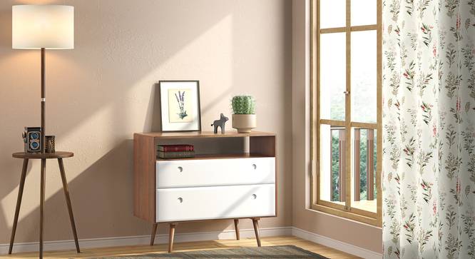 Roswell Chest Of Two Drawers (White) (Amber Walnut Finish) by Urban Ladder - Full View - 339722