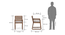 Hawley Study Chair (Teak Finish) by Urban Ladder - Design 1 Dimension - 342288