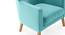 Hagen Lounge Chair (Icy Turquoise Velvet) by Urban Ladder - Zoomed Image Ground View Design 1 - 348566