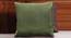 Shawn Cushion Cover (Green, 51 x 51 cm  (20" X 20") Cushion Size) by Urban Ladder - Design 1 Half View - 348919