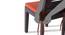Puco Seat Cushions - Set of 2 (Burnt Orange) by Urban Ladder - - 34898