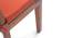 Puco Seat Cushions - Set of 2 (Burnt Orange) by Urban Ladder - - 34903