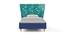 Doodle Bed By Boingg! (Blue, Matte Finish) by Urban Ladder - Front View Design 1 - 349232