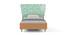 Doodle Bed By Boingg! (Orange, Matte Finish) by Urban Ladder - Front View Design 1 - 349233