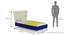 Doodle Bed By Boingg! (Royal Blue, Matte Finish) by Urban Ladder - Design 1 Dimension - 349254