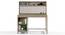 Old Timer Study Table By Boingg! (Oak, Matte Finish) by Urban Ladder - Front View Design 1 - 349496