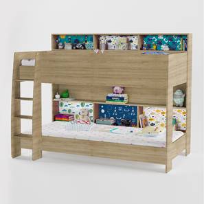 Kids Bunk Beds Design Engineered Wood Bunk Bed in Blue Colour