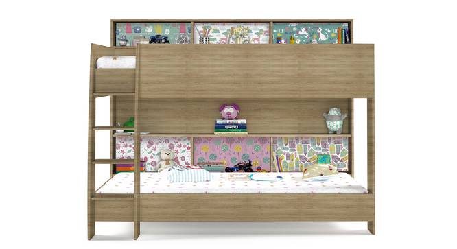 Rainbow Bunk Bed By Boingg! (Oak, Matte Finish) by Urban Ladder - Front View Design 1 - 349662