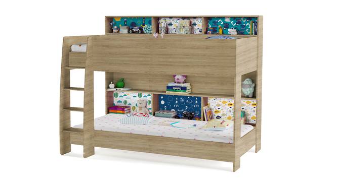 Rainbow Storage Bunk Bed By Boingg! (Oak, Matte Finish) by Urban Ladder - Design 1 Side View - 349669