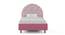 Shoodle Bed By Boingg! (Pink, Matte Finish) by Urban Ladder - Front View Design 1 - 349729