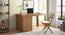 Bradbury Desk (Large Size, Amber Walnut Finish) by Urban Ladder - Full View Design 1 - 351164
