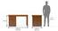 Bradbury Desk (Large Size, Amber Walnut Finish) by Urban Ladder - Dimension Design 1 - 351171