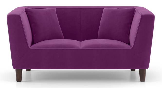 Janet Loveseat (Plumy Purple Velvet) by Urban Ladder - Front View Design 1 - 