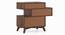 Zenga Side Table (Antique Walnut Finish) by Urban Ladder - Rear View Design 1 - 352164