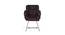 Charlize Visitor Chair (Brown) by Urban Ladder - - 