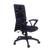 Lorryn ergonomic chair lp