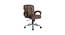 Norwood Workstation Chair (Brown) by Urban Ladder - - 