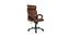 Oswyn Executive Chair (Brown) by Urban Ladder - - 