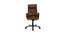 Oswyn Executive Chair (Brown) by Urban Ladder - - 