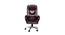 Paley Executive Chair (Brown) by Urban Ladder - - 