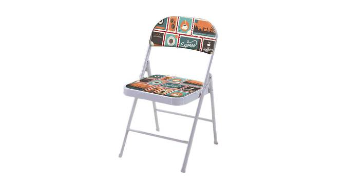 Frances Metal Chair (Matte Finish, Multicolor) by Urban Ladder - - 