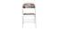 Frances Metal Chair (Matte Finish, Multicolor) by Urban Ladder - - 