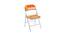 Hilary Metal Chair (Matte Finish, Multicolor) by Urban Ladder - - 