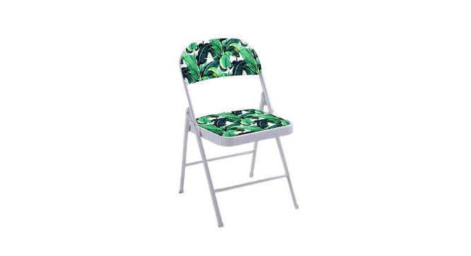 Holly Metal Chair (Matte Finish, Multicolor) by Urban Ladder - - 