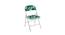Holly Metal Chair (Matte Finish, Multicolor) by Urban Ladder - - 