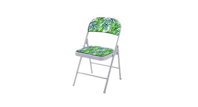 Jessica Metal Chair (Matte Finish, Multicolor) by Urban Ladder - - 