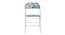 Mercedes Metal Chair (Matte Finish, Multicolor) by Urban Ladder - - 