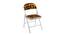 Mira Metal Chair (Matte Finish, Multicolor) by Urban Ladder - - 
