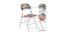 Frances Metal Chair (Matte Finish, Multicolor) by Urban Ladder - Design 1 Details - 355499