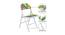 Geraldine Metal Chair (Matte Finish, Multicolor) by Urban Ladder - Design 1 Details - 355501