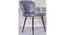Cyrus Dining Chair (Multicolored Finish, Multicolor) by Urban Ladder - Cross View Design 1 - 356338