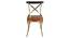 Jared Dining Chair (Multicolored Finish, Multicolor) by Urban Ladder - Front View Design 1 - 356359