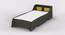 Batty Bed - Slate Grey-Dark Grey (Dark Grey, Matte Finish) by Urban Ladder - Rear View Design 1 - 356392