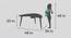 Boomerang Table Storage - Caribe (Teal, Matte Finish) by Urban Ladder - Design 1 Dimension - 356810
