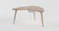 Boomerang Table Storage - Oak (Oak, Matte Finish) by Urban Ladder - Rear View Design 1 - 356814