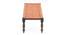 Hamilton Bench - Orange (Orange, Antique Grey Finish) by Urban Ladder - Rear View Design 1 - 357425