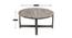 Nashville Coffee Table Set - Grey Velvet (Grey Velvet, Antique Grey Finish) by Urban Ladder - Design 1 Dimension - 357697