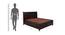 Alexander King Bed With Hydraulic Storage (King Bed Size, Dark Walnut Finish) by Urban Ladder - Design 1 Dimension - 358211