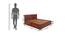 Diamond King Bed With Hydraulic Storage (Walnut Finish, King Bed Size) by Urban Ladder - Design 1 Dimension - 358296