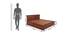 Diamond Queen Bed With Hydraulic Storage (Walnut Finish, Queen Bed Size) by Urban Ladder - Design 1 Dimension - 358297