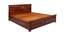 Sophia Queen Bed With Box Storage (Walnut Finish, Queen Bed Size) by Urban Ladder - Front View Design 1 - 358457