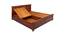 Sophia King Bed With Box Storage (Walnut Finish, King Bed Size) by Urban Ladder - Rear View Design 1 - 358469