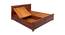 Sophia Queen Bed With Box Storage (Walnut Finish, Queen Bed Size) by Urban Ladder - Rear View Design 1 - 358470