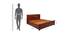 Sophia King Bed With Box Storage (Walnut Finish, King Bed Size) by Urban Ladder - Design 1 Dimension - 358502